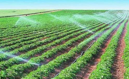 美女视频抽插农田高 效节水灌溉
